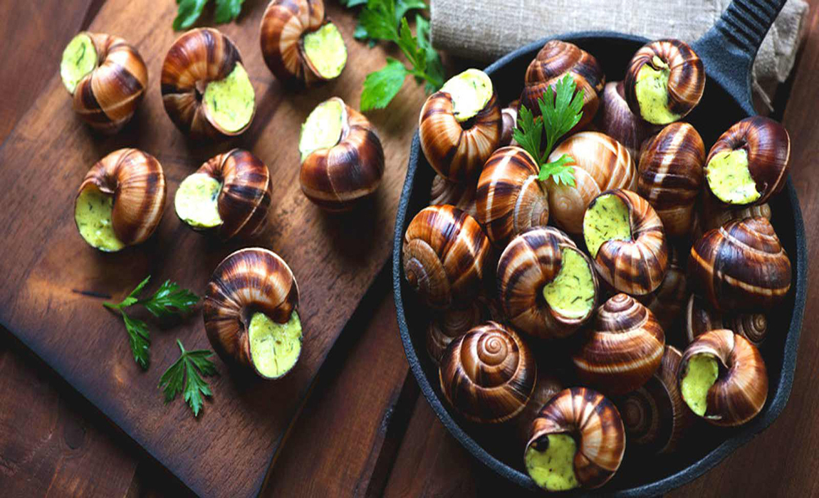 ESCARGOT