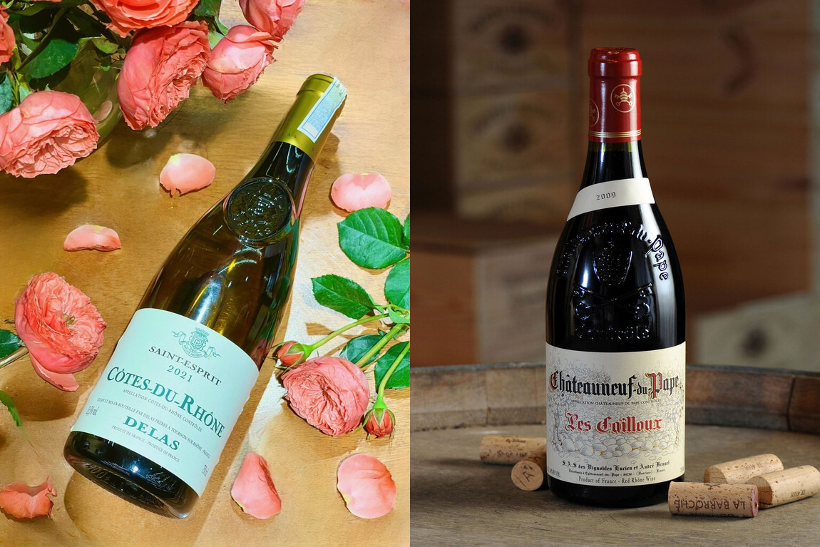 AVIGNON 25 - Rượu Vang Côtes du Rhône và Châteauneuf du Pape