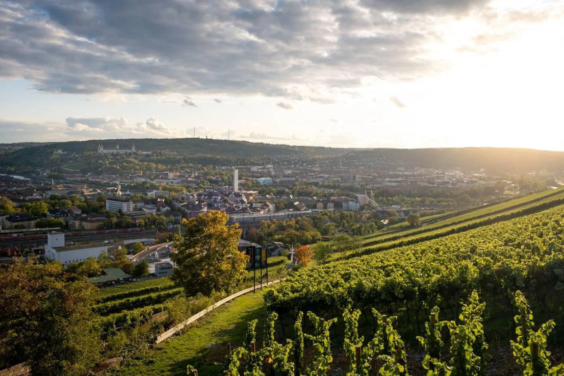 Wurzburg Thành phố khởi đầu cho con đường lãng mạn 2