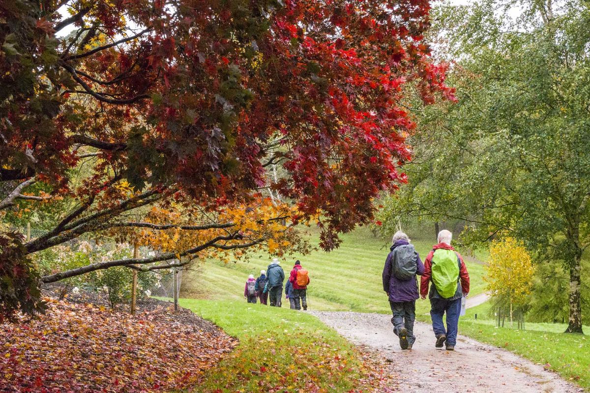 Windsor Great Park