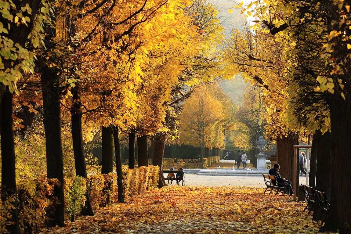 Schönbrunn Vienna
